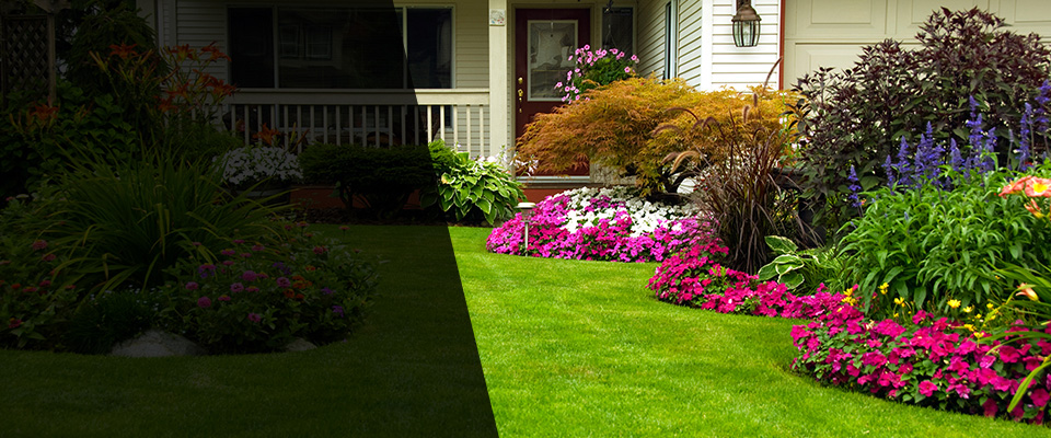 Princeton Landscapers